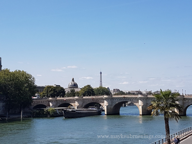 Pont-Neuf (New Bridge), Paris